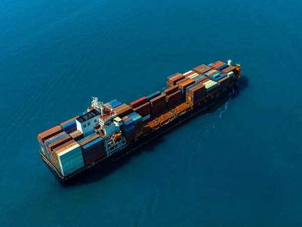 From China To Canada Ddp Freight Forwader